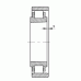 Подшипник N1007-K-M1-SP