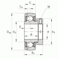 Подшипник GRAE30-NPP-B