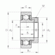 Подшипник RAE45-NPP-FA106