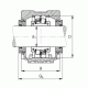 Подшипник SNV120-F-L + 222SM60-TVPA + TSV513